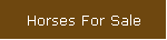 Horses For Sale