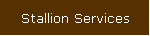 Stallion Services